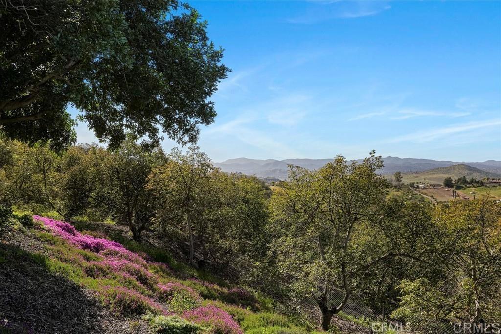 15735 Highland Valley Road - photo 12