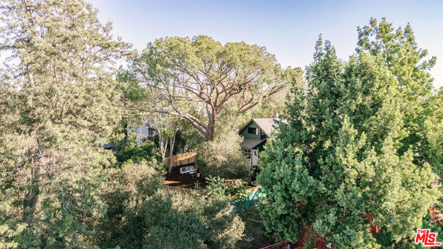 1557 Curran Street photo 47