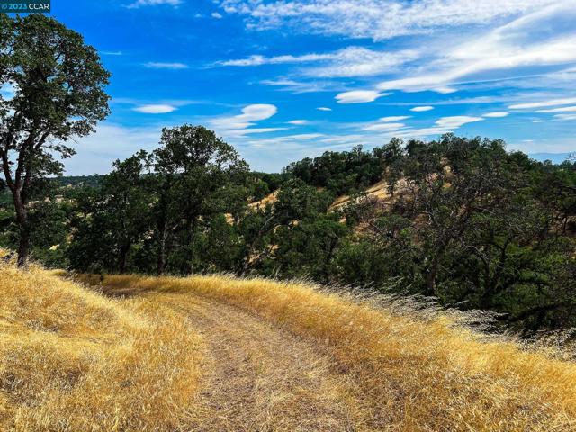 0 Lot 22 Rolling Oaks, Cottonwood CA: https://media.crmls.org/mediaz/bd29f5d5-b5de-4d9e-a847-e8fef6d4dfec.jpg