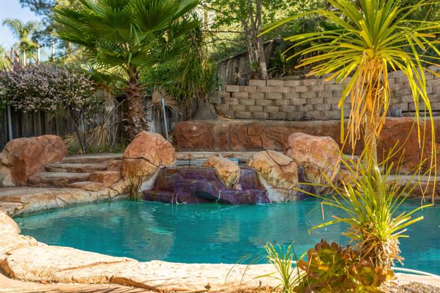 Image 28 of 41 For 45948 Via La Colorada