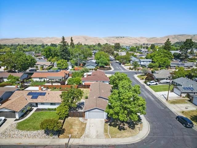 1693 Greentree Drive, Concord CA: https://media.crmls.org/mediaz/bd57df25-7d8a-45c7-b594-39cb6b22fa36.jpg