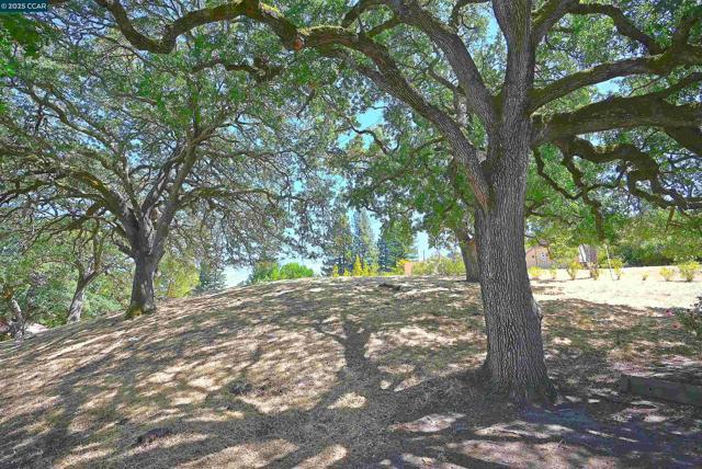 1805 Ptarmigan Dr, Walnut Creek CA: https://media.crmls.org/mediaz/bd59177d-216a-48c6-a217-032ef9dc2f2f.jpg