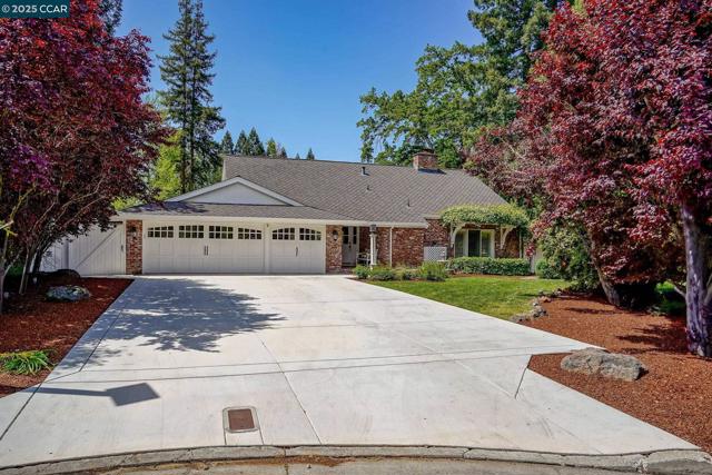 24 Ray Ct, Alamo CA: https://media.crmls.org/mediaz/bd5e2e7b-6067-4910-bdcb-a5ffb7bdcc74.jpg