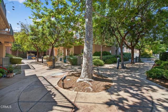 Front Image Thumbnail for CRV1-32798