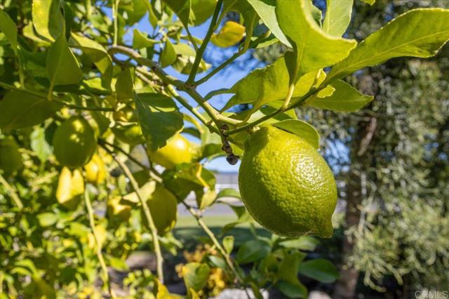 Detail Gallery Image 32 of 46 For 18218 Paradise Mountain Rd Spc 89,  Valley Center,  CA 92082 - 2 Beds | 2 Baths