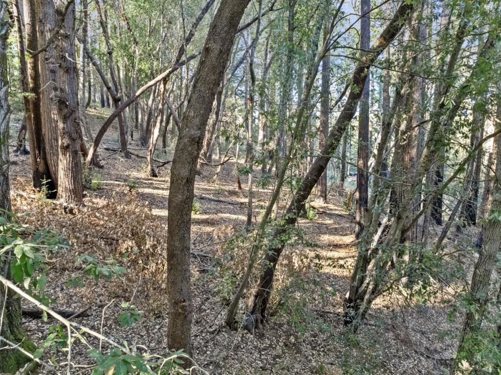 MLS #ML81986063 image #21