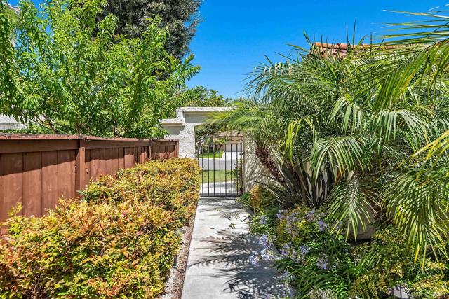 15462 Avenida Rorras, San Diego CA: https://media.crmls.org/mediaz/bd6cb1ec-c410-4dbc-beb5-407643325d05.jpg