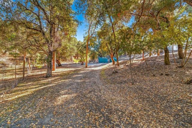21444 Parrott Ranch Road, Carmel Valley CA: https://media.crmls.org/mediaz/bd737072-3d77-47d8-a168-9e5eb44d1dd5.jpg