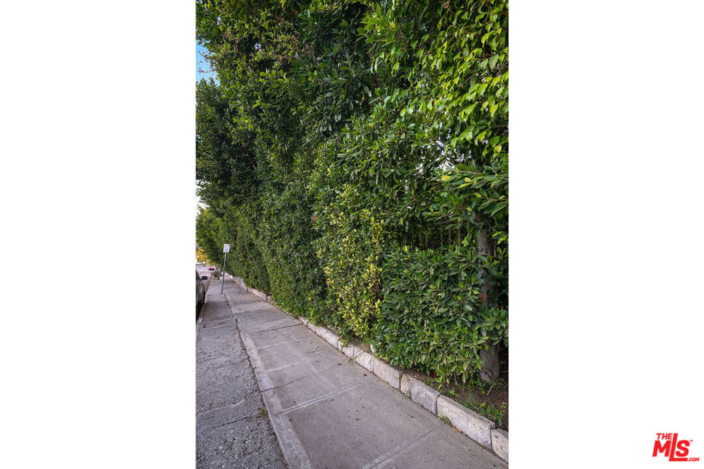 MLS #25578199 img 38