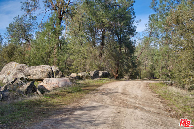 1 Blackhawk Lake, Coarsegold CA: https://media.crmls.org/mediaz/bd8d32cd-e525-4c25-8cdc-6cbe1158fc0d.jpg