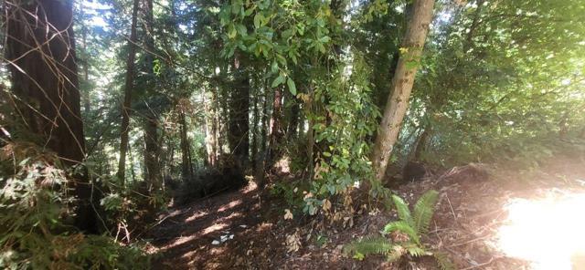 1080 Blue Ridge Drive, Boulder Creek CA: https://media.crmls.org/mediaz/bd904f12-6b22-473c-9194-7f08ab5c354a.jpg