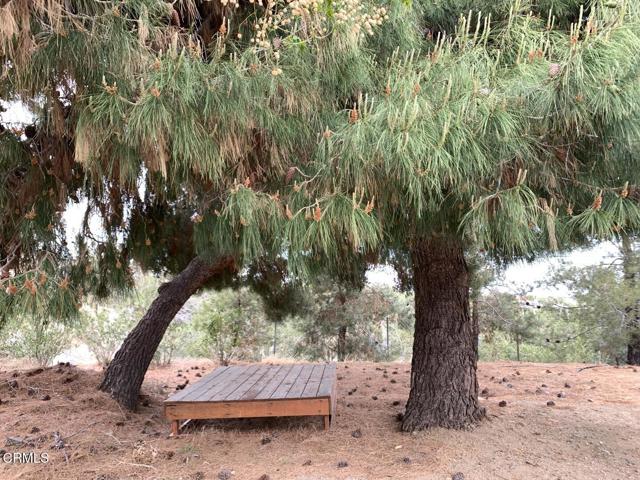 9020 Pionero Road, Pinon Hills CA: https://media.crmls.org/mediaz/bd98cee8-0535-429b-9213-43c0e84aaeb0.jpg