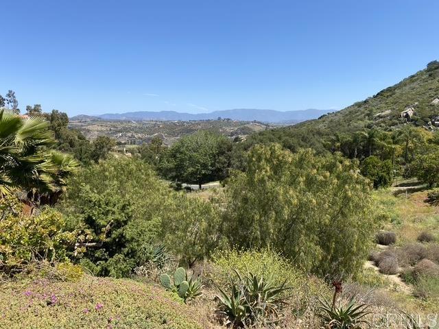 30409 Disney Lane, Vista, California 92084, ,Land,For Sale,30409 Disney Lane,CRNDP2409423