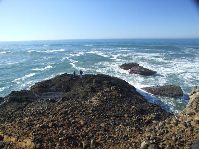 10247 Cabrillo Highway, Pescadero CA: https://media.crmls.org/mediaz/bdb80bb1-7163-46a4-b787-bd2ad5de9607.jpg