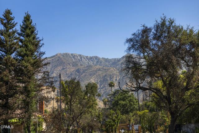2975 Santa Anita Avenue, Altadena CA: https://media.crmls.org/mediaz/bdcb2965-8fce-4b5c-9e97-5ff7679a2cb6.jpg