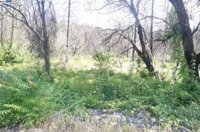 101 River Acres, Junction City CA: https://media.crmls.org/mediaz/bdd29f85-ff0c-4991-a46f-a6a41d3603f4.jpg