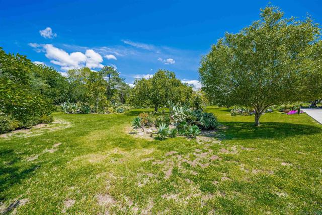 17716 Via De Fortuna, Rancho Santa Fe CA: https://media.crmls.org/mediaz/bddc0c68-3b02-4181-bb7a-54fba5e5d96e.jpg