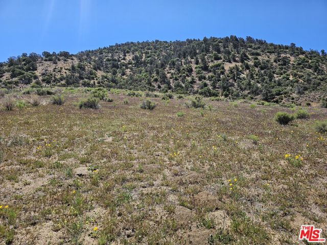 0 Pine Grove Dr, Tehachapi CA: https://media.crmls.org/mediaz/bdece4e5-9788-4ccb-8cd2-ca63f7dfca0b.jpg