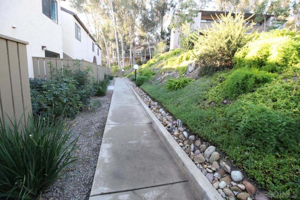 10332 Caminito Aralia - photo 17