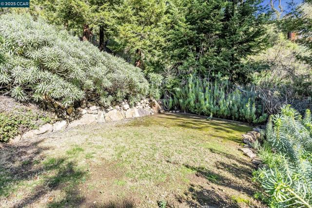 4 Berrybrook Hollow, Orinda CA: https://media.crmls.org/mediaz/bdef2cf4-3305-40a9-9e83-acca3fcd1d6a.jpg