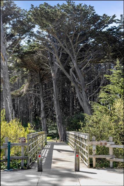 263 Nevada Avenue, Moss Beach CA: https://media.crmls.org/mediaz/bdef4c9c-3a20-4641-84ed-248a03ef24d3.jpg