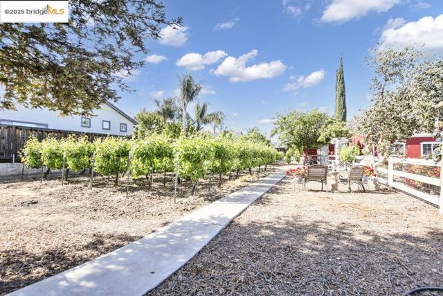 3215 Ohara Ave, Brentwood CA: https://media.crmls.org/mediaz/bdf123f6-4e1a-490a-8614-aac87fecc340.jpg