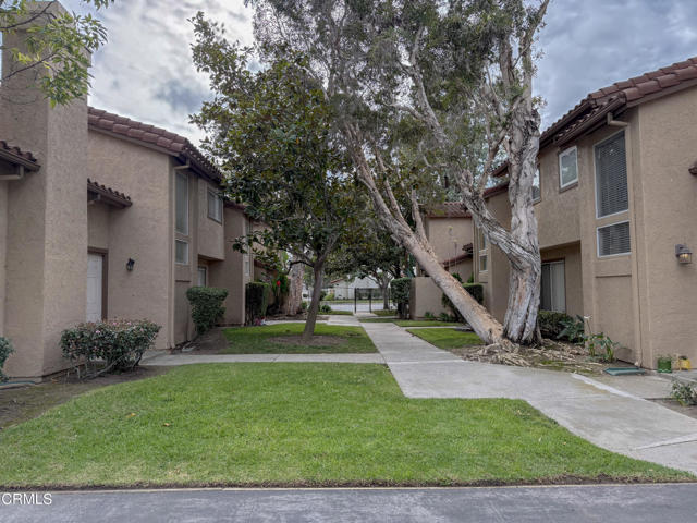 Front Image Thumbnail for CRV1-33846