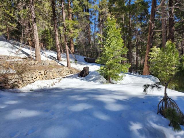 710 Blue Jay Canyon Road, Lake Arrowhead CA: https://media.crmls.org/mediaz/bdf572d1-667b-4f78-be79-7753b3181915.jpg