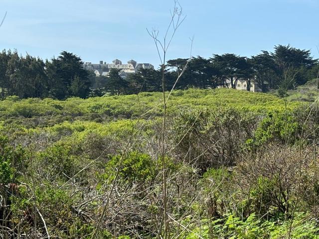0 Portola Avenue, Half Moon Bay CA: https://media.crmls.org/mediaz/bdf8a262-fc6e-42aa-b319-1d9690615f77.jpg