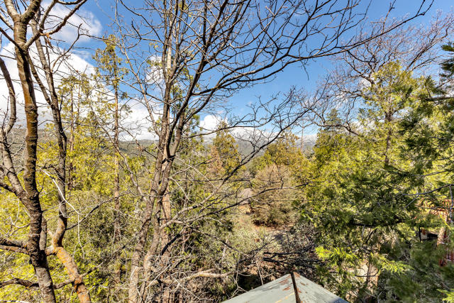 53184 Double View Drive, Idyllwild CA: https://media.crmls.org/mediaz/bdfef25c-8347-446d-a3ab-276ba76ee291.jpg