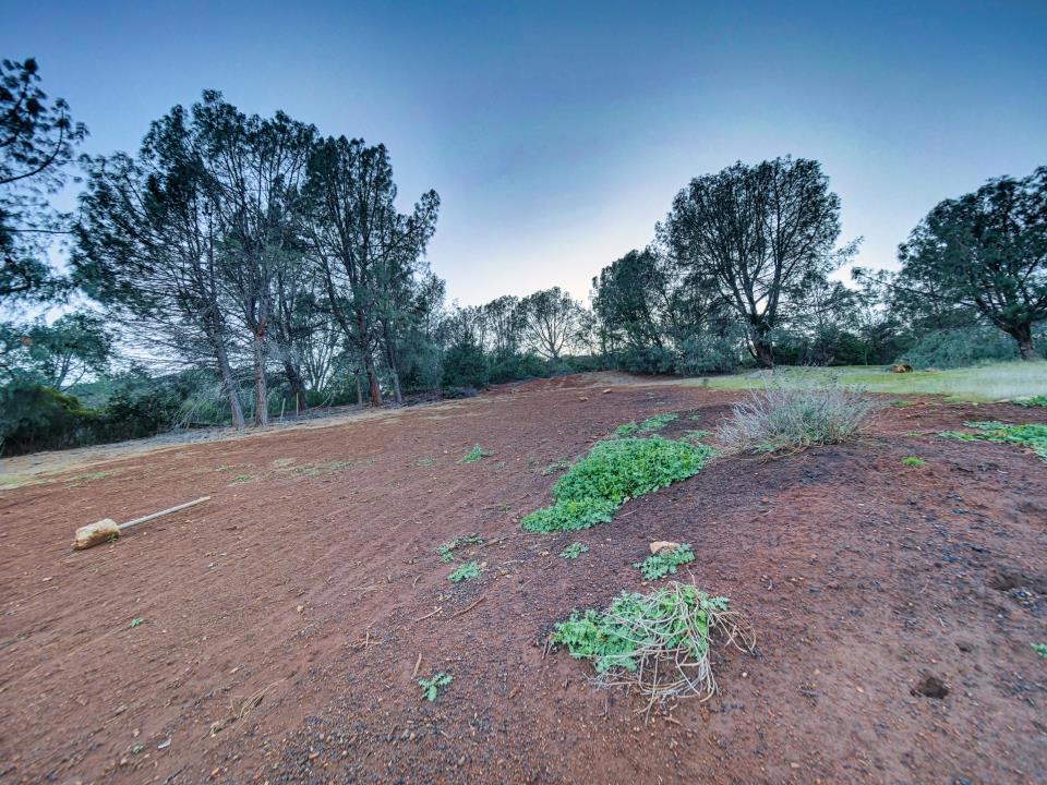 MLS #ML81988008 image #18