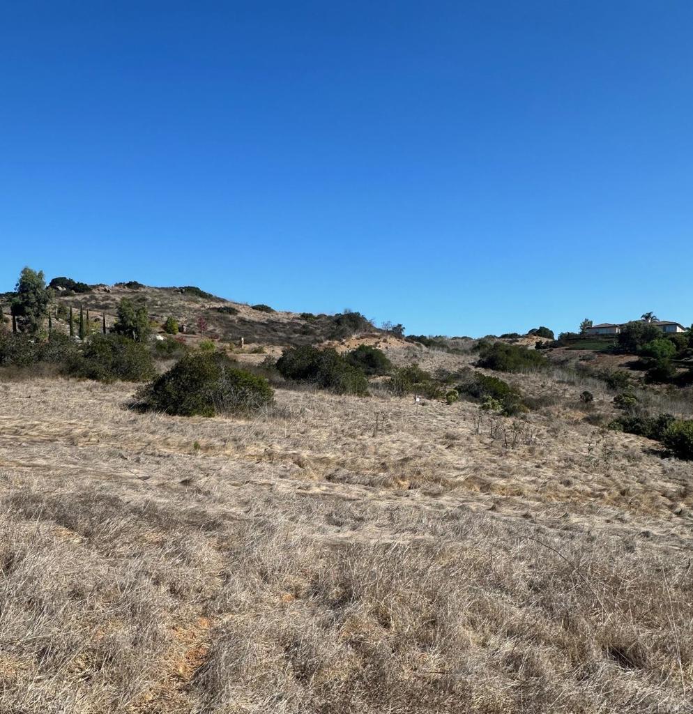 Trailside Road - photo 8