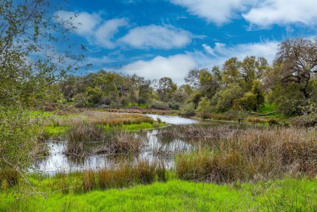24943 N McIntire Road, Clements CA: https://media.crmls.org/mediaz/be19d7d3-62c1-444a-83d8-411972ab4bef.jpg