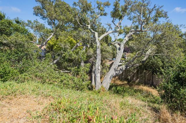 9375 Bur Oak Place, Salinas CA: https://media.crmls.org/mediaz/be1bbc49-f892-4c6e-bbb4-064cebc190c4.jpg