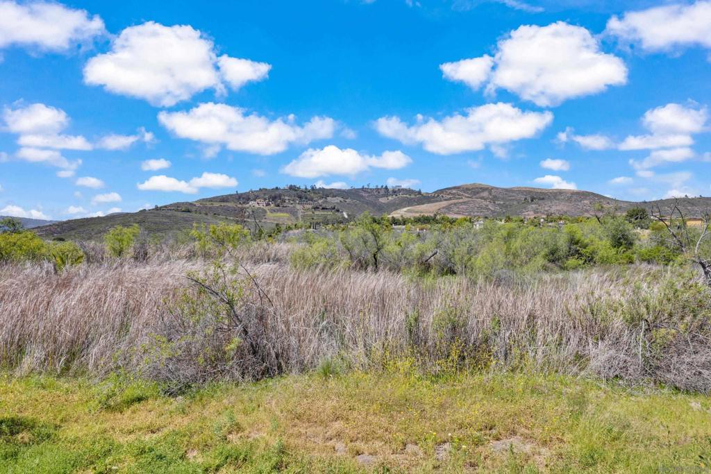 MLS #250027889SD image #36