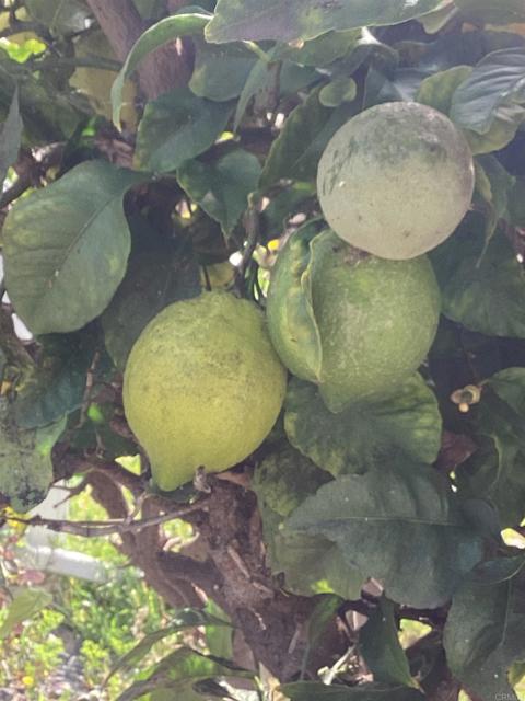 Detail Gallery Image 5 of 10 For 1425 2nd Ave #116,  Chula Vista,  CA 91911 - 2 Beds | 2 Baths