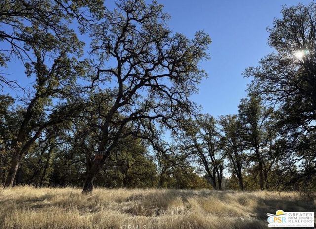 Image 6 of 12 For 17333 Wagon Wheel Drive