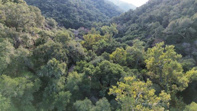 0 San Juan Canyon Road, San Juan Bautista CA: https://media.crmls.org/mediaz/be23006e-2c49-479f-9160-fbc8014bd958.jpg