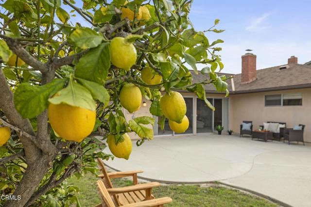 Spring lemons- yum!