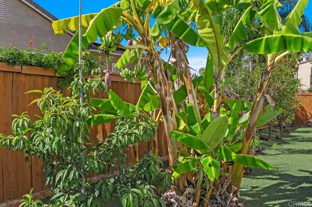 2183 Coast Avenue, San Marcos CA: https://media.crmls.org/mediaz/be27d473-5d75-4663-abfe-3f26d2de14d4.jpg