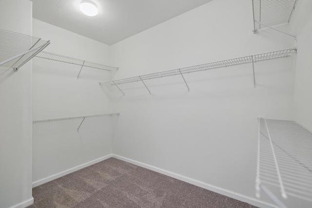 2342 Winchester Loop, Discovery Bay CA: https://media.crmls.org/mediaz/be2f7a1d-64fb-472d-8608-a6d0cb0f55ce.jpg