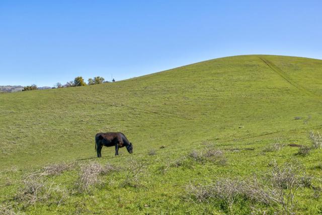 0 Bella Madeira Lane, San Jose CA: https://media.crmls.org/mediaz/be342f2f-bfd4-408a-9e24-0e057c9f50e1.jpg