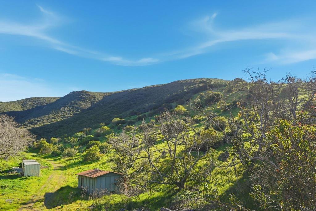 1790 La Plaza Drive - photo 6