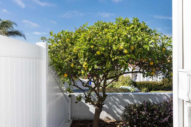 Detail Gallery Image 41 of 59 For 4246 Lindos Way, Oceanside,  CA 92056 - 2 Beds | 2 Baths