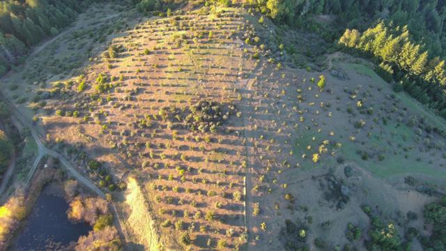 47211 Fox Rock Road, Laytonville CA: https://media.crmls.org/mediaz/be55043e-21ff-4eda-ba12-8259625c1551.jpg