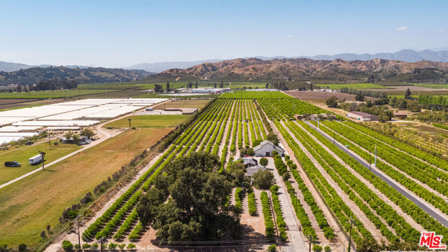 13721 W Telegraph Road, Santa Paula CA: https://media.crmls.org/mediaz/be561226-3550-4354-8275-3fbbfc811149.jpg