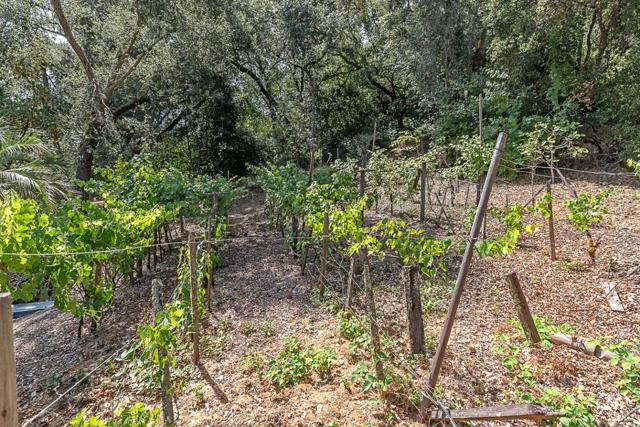 3 Oak Forest Court, Portola Valley CA: https://media.crmls.org/mediaz/be606698-35a0-44ad-a186-406a0df0ea64.jpg