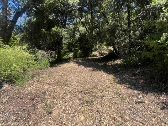 0 Deer Creek (Lot 21), Boulder Creek CA: https://media.crmls.org/mediaz/be6e80a4-1624-41b5-af2e-664944bd7ed5.jpg