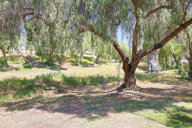 1889 Manzana Way, San Diego CA: https://media.crmls.org/mediaz/be75909c-7bb7-44be-8b6d-8b701380870d.jpg