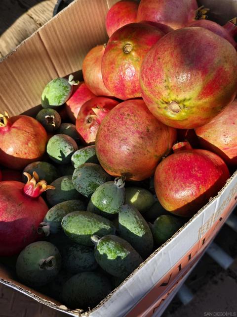 2344 Warmlands Ave, Vista CA: https://media.crmls.org/mediaz/be8bbc26-528a-40c1-89b7-5b879216667f.jpg